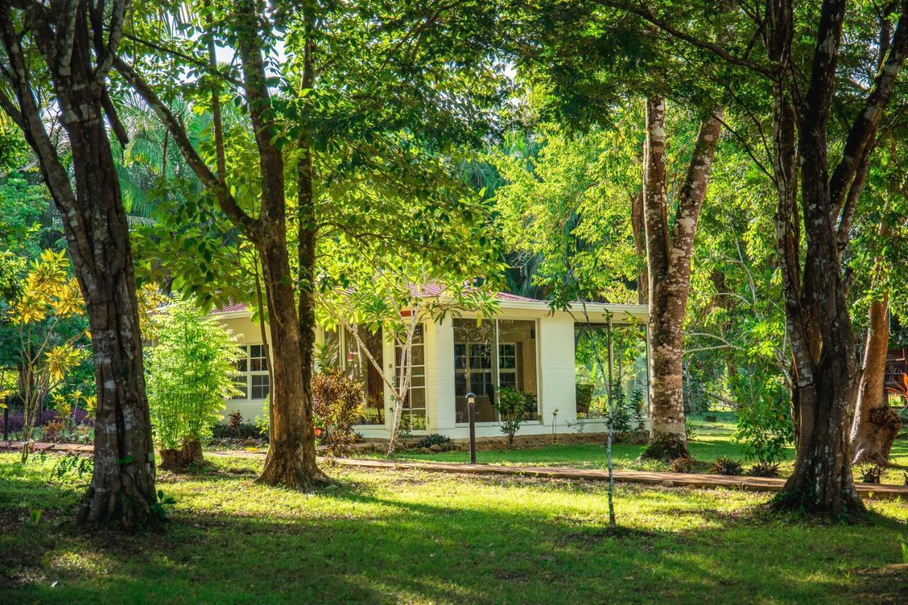 Kikiwitz Resort Бельмопан Экстерьер фото